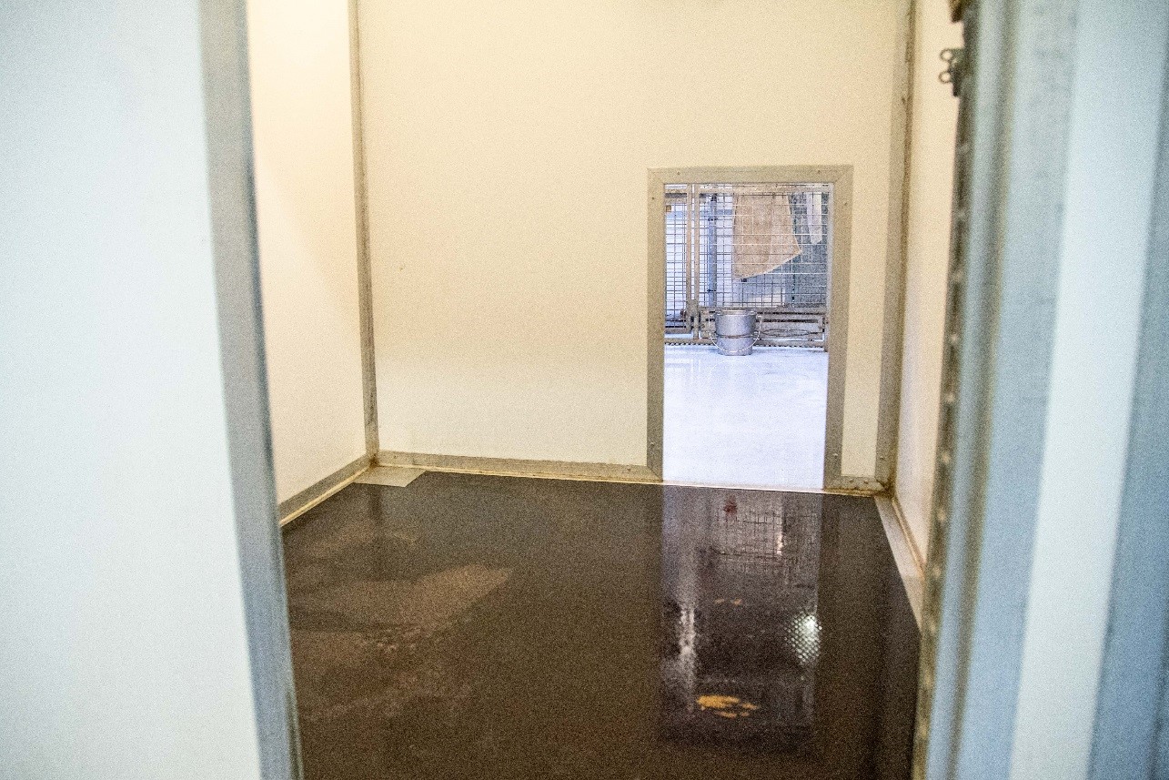 Kennels and Vans 3.jpg