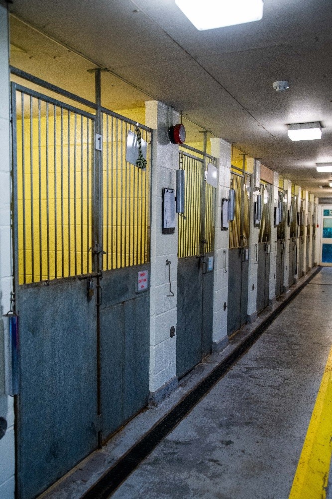 Kennels and Vans 4.jpg